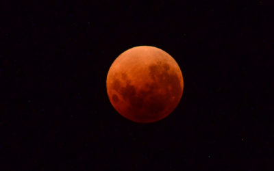 L’Eclissi di Luna più lunga del secolo e lo spettacolo della stella Dragone dei Canneti