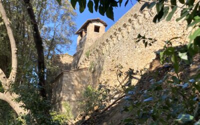 Mura esterne degli Horti Leonini, intervento di riqualificazione e valorizzazione da 163.500 euro. E nascerà percorso Barbarossa