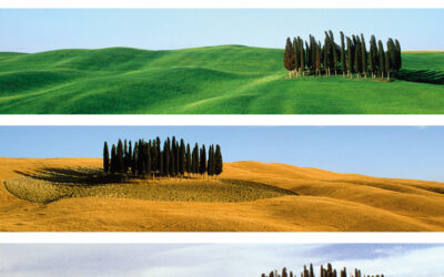 Valore Val d’Orcia. Esce il libro sul fenomeno del nostro paesaggio scritto Lorenzo Benocci e Cristiano Pellegrini